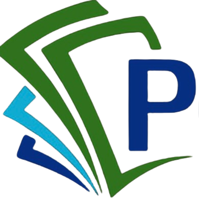 PLANILLAS PRO PR LLC
